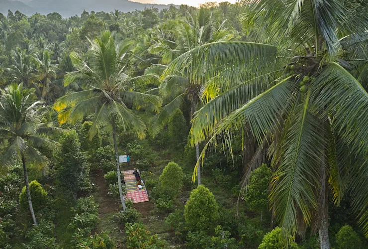 Reflecting on 20 years article image