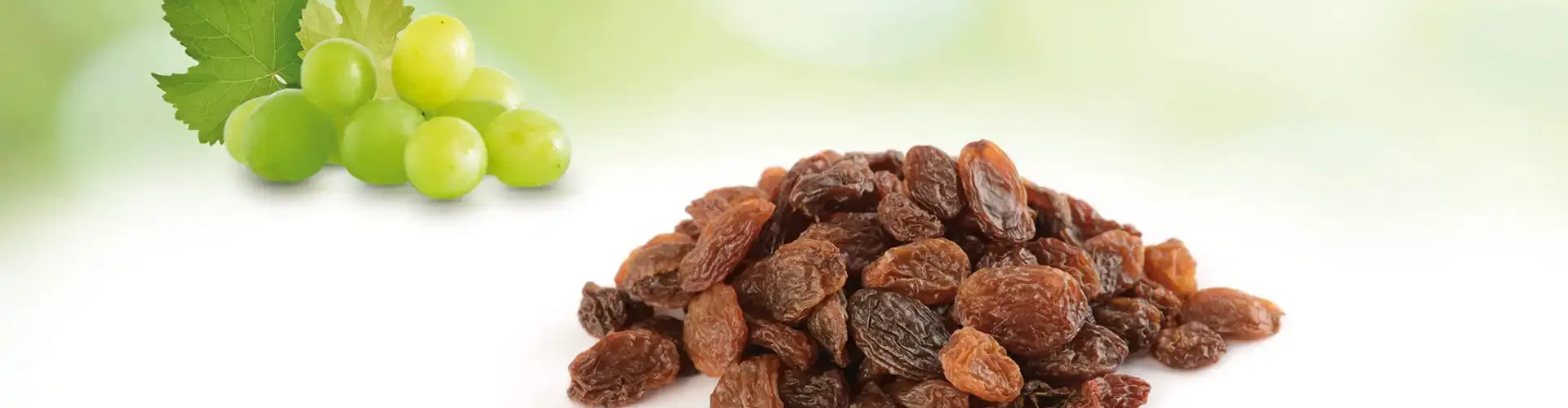 Marshimport - Sultanas header image media asset