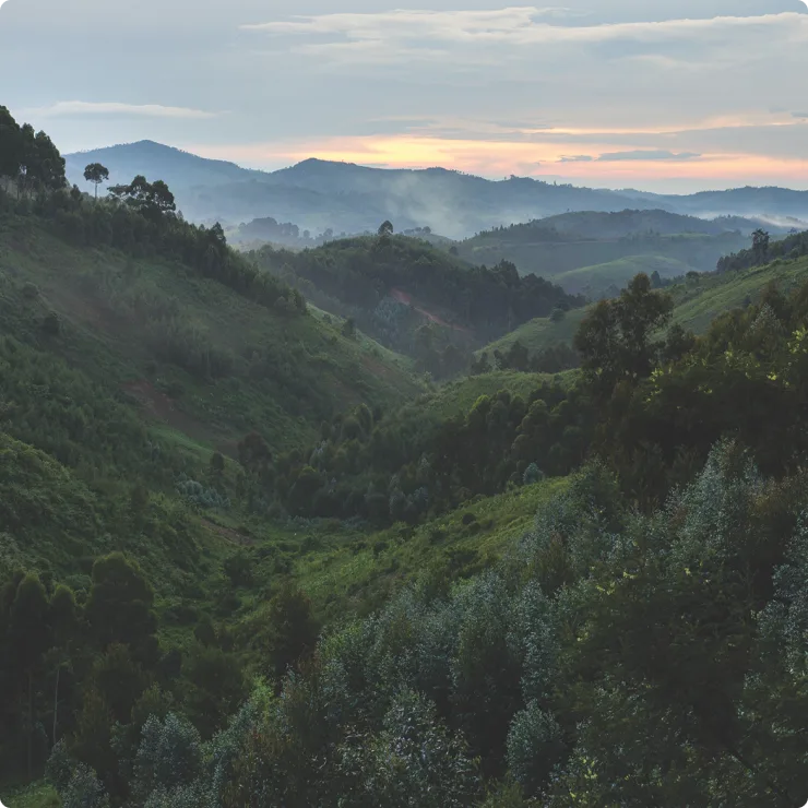 Product True Gold Image& Text content Block2 Image