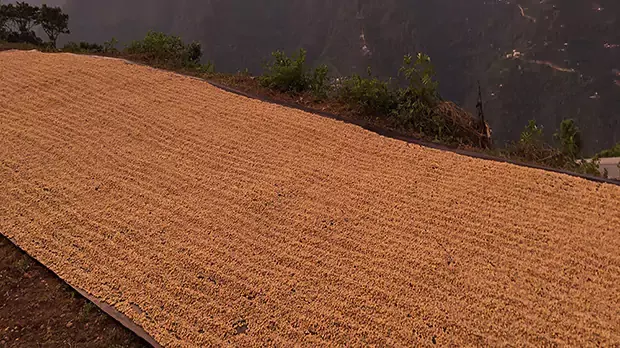 Mountainous farming landscape in Guatemala