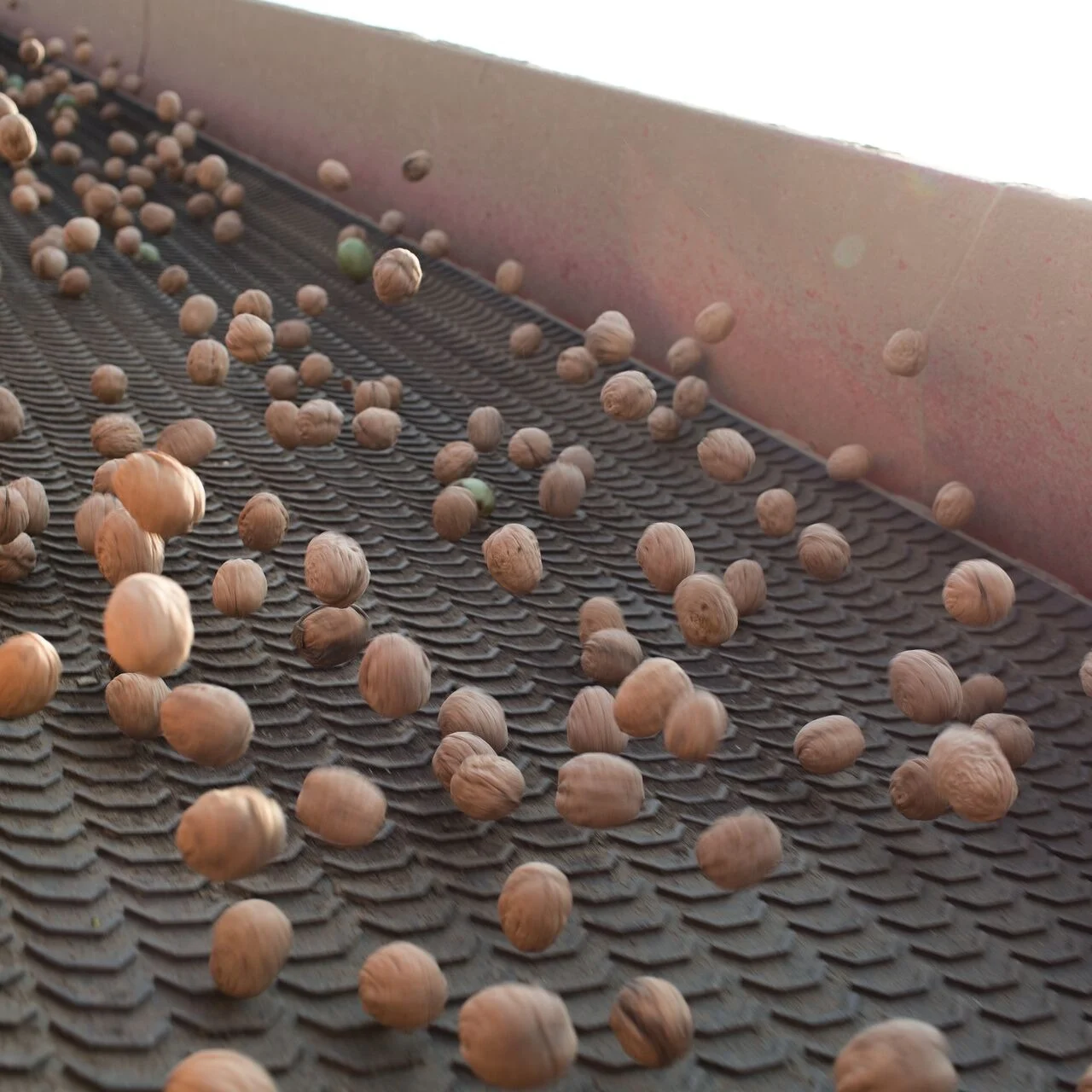 CLP- nuts - supply chain image