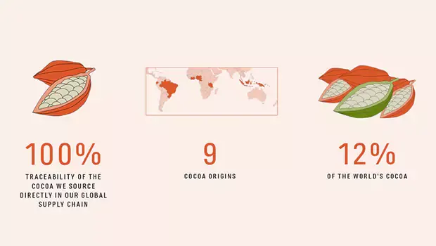Infographic cocoa compass