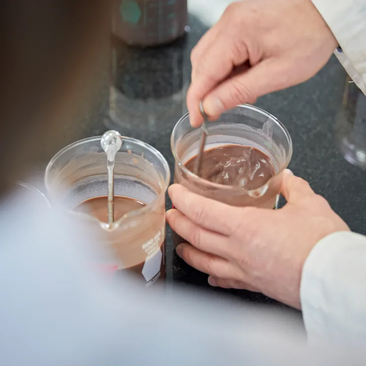 PLP - cocoa beans innovation image media asset