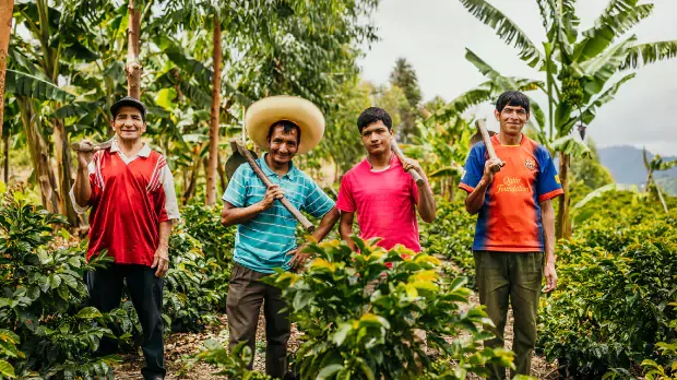 Four farmers holding a tool