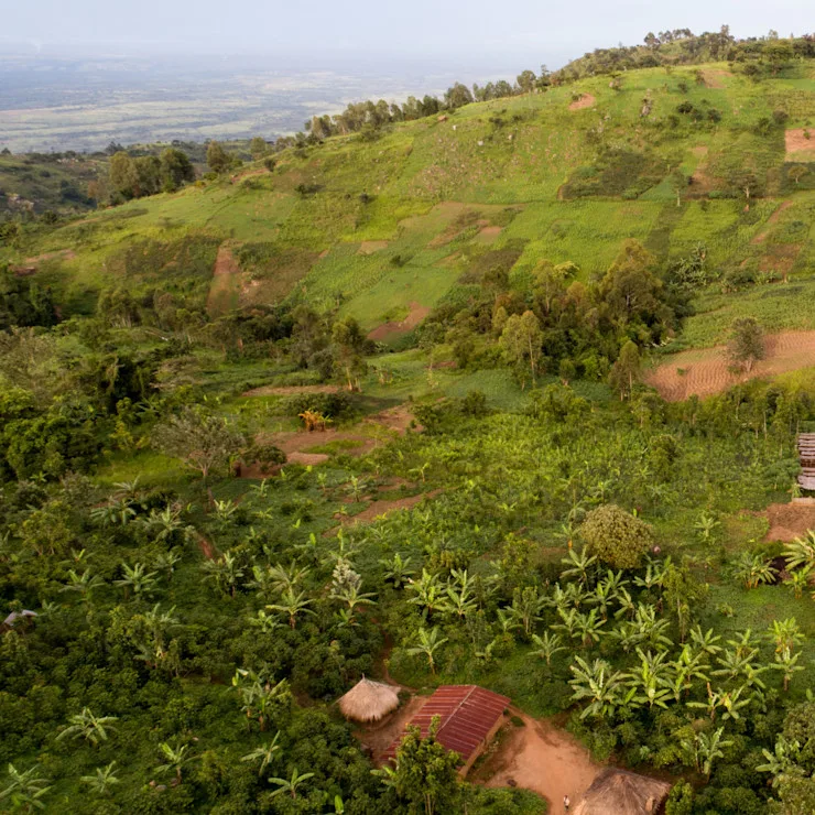 Our Global footprint square