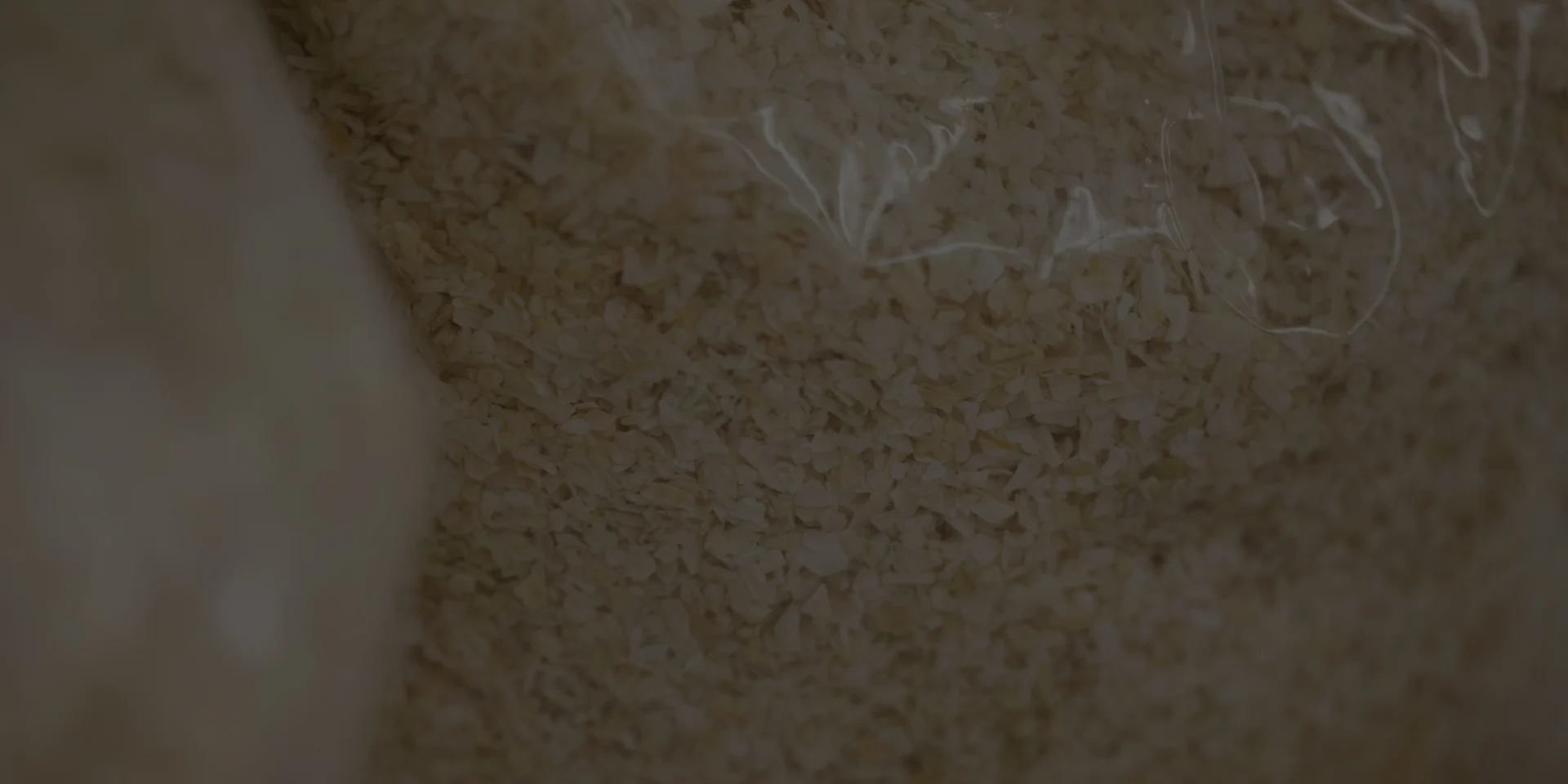 Onion stats background