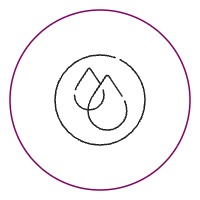 Nut oils icon SVG
