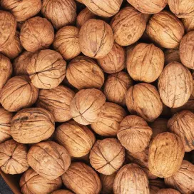 Macadamias image 272 x 272 