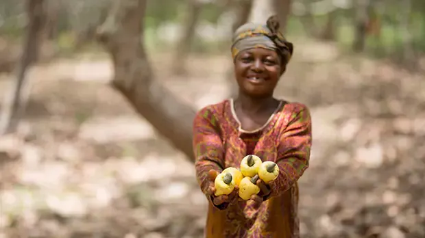 Women smiling and posing whilst holding cashew plants