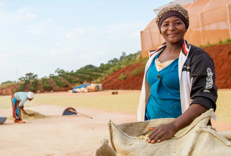 PDP - Green Coffee - other products card 1 Africa image media asset