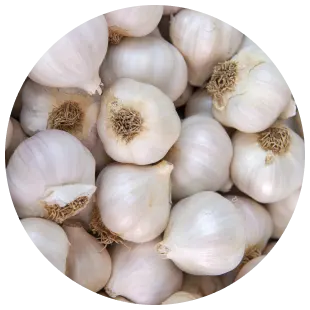 Garlic Processing timeline 1