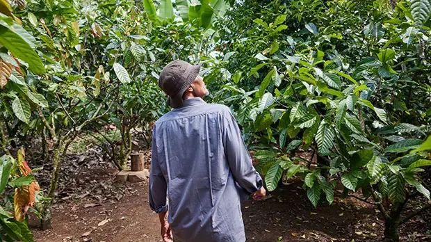 Farmer walking through lush greenery