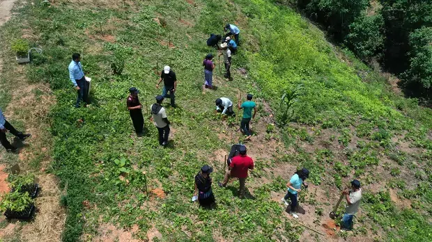 Group of farmers working in Mexico