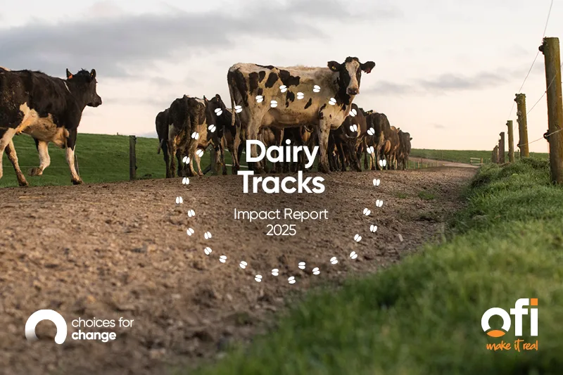 Dairy Tracks 2025 Impact Report image