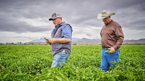 2025 USA Chile Hatch HERD