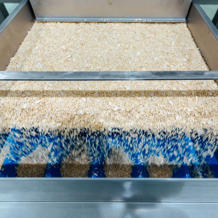 Macadamias processing