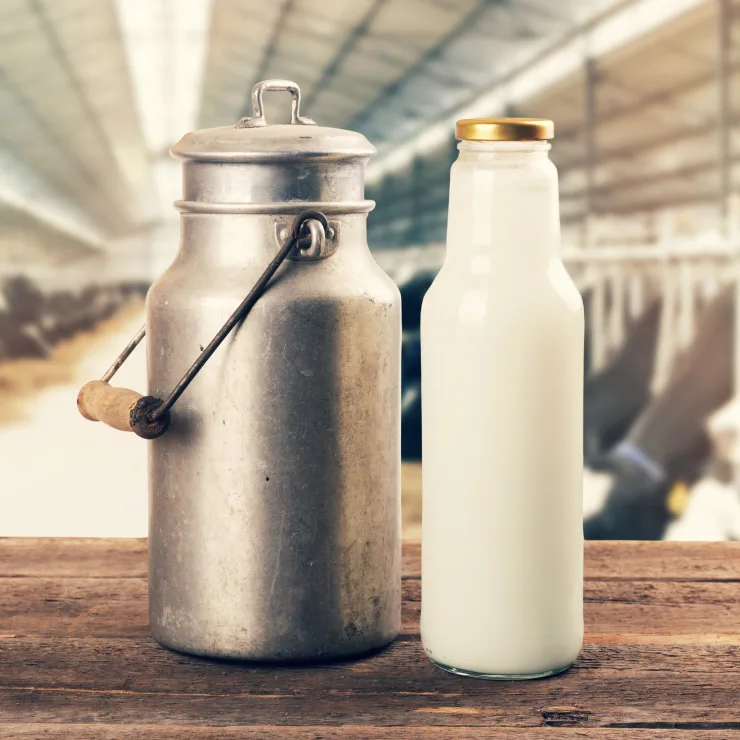 Fat filled powder - Our Promise