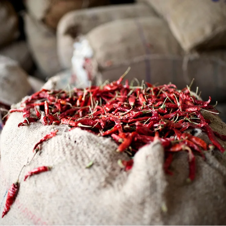Chiles Our Promise