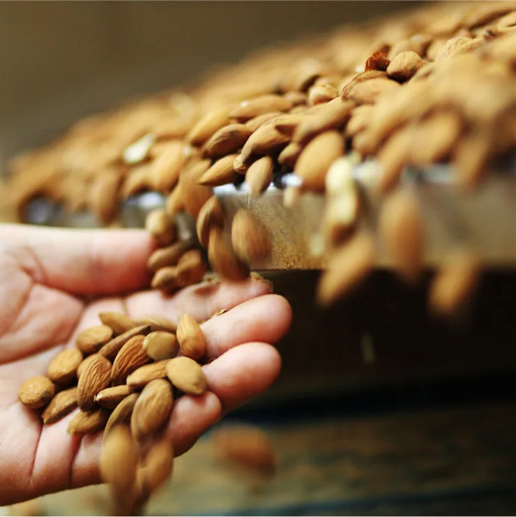 Sustainability in nuts - how does it benefit you