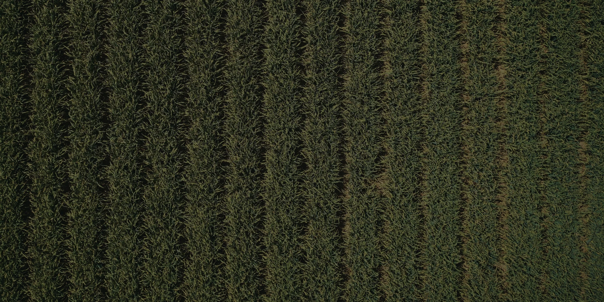 Sustainability in Spices - Stats