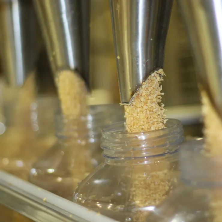 Garlic Supply Chain square