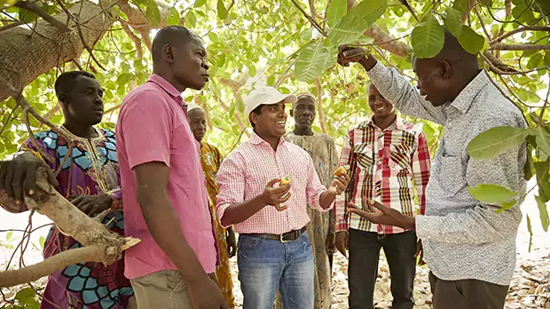 A group of farmers having cashew farming training