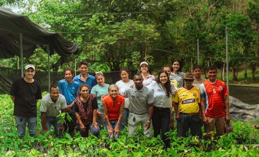 Partnering for impact article main image