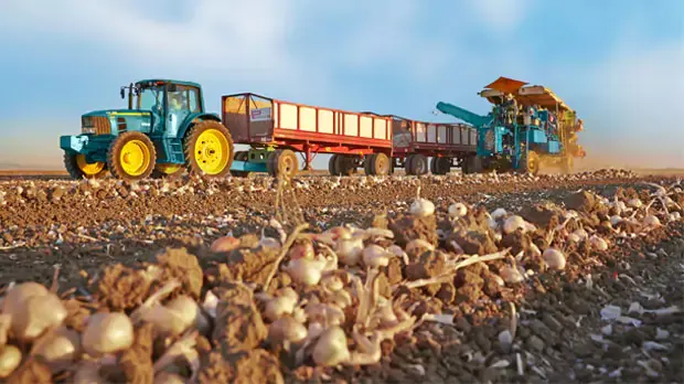 Tractor driving in a field