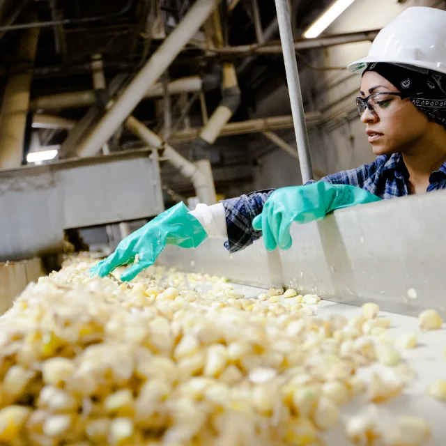 Purees Supply Chain