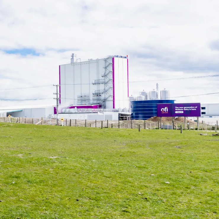 Sustainability in Dairy - Three ways you can get involved