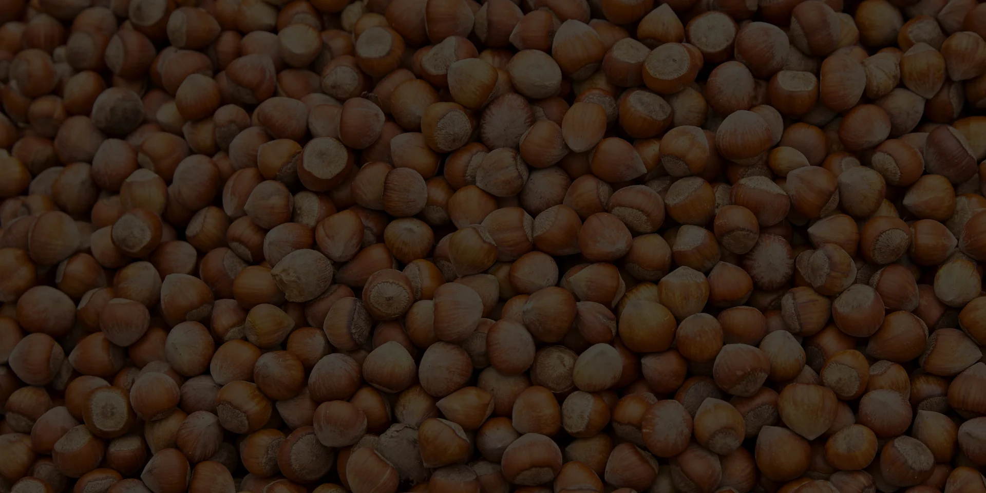 Hazelnuts stats background