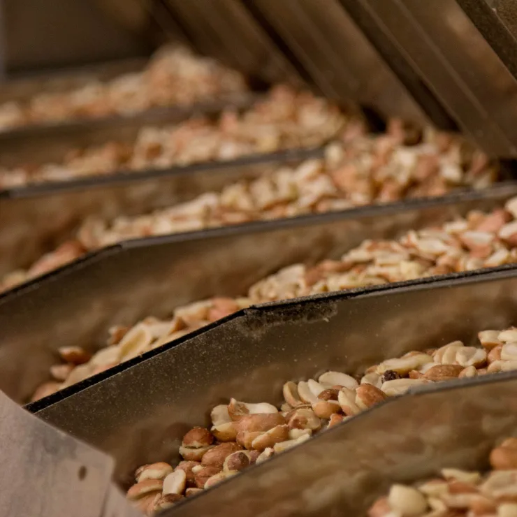 Peanuts Processing