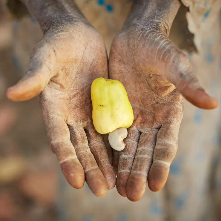 Sustainability landing - Explore