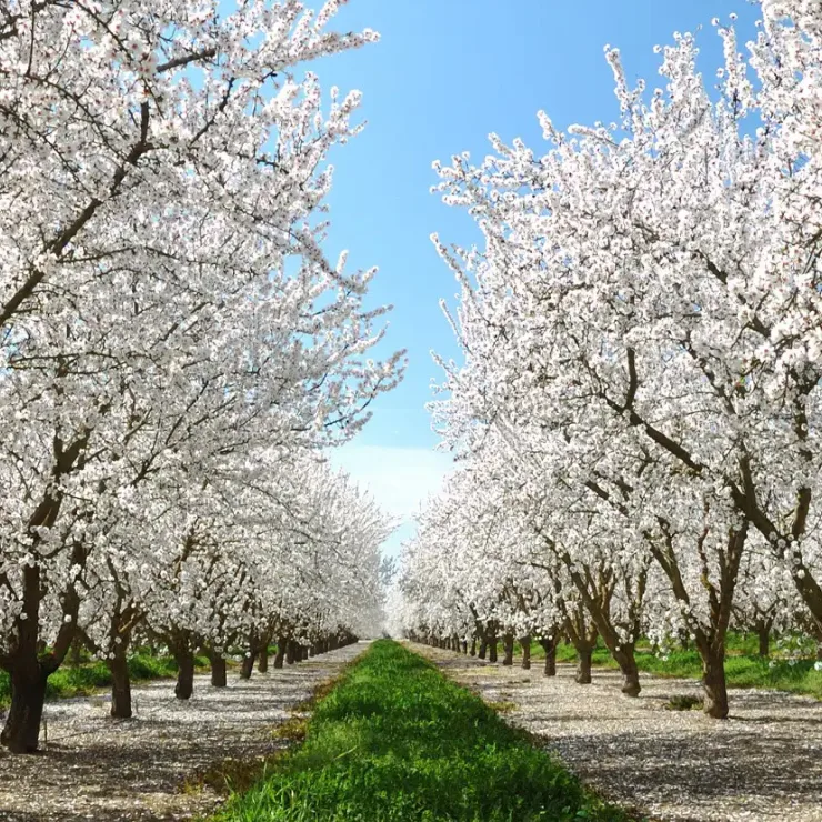 Marshimport - Activities Procurement image media asset