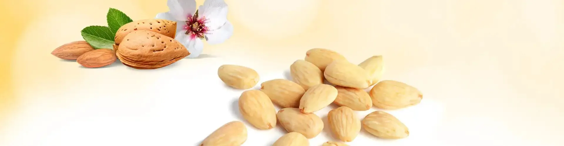 Spanish Almonds header banner