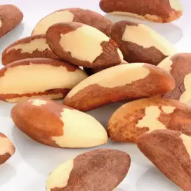 Marshimport - Ingredients card - Brazil Nuts image asset