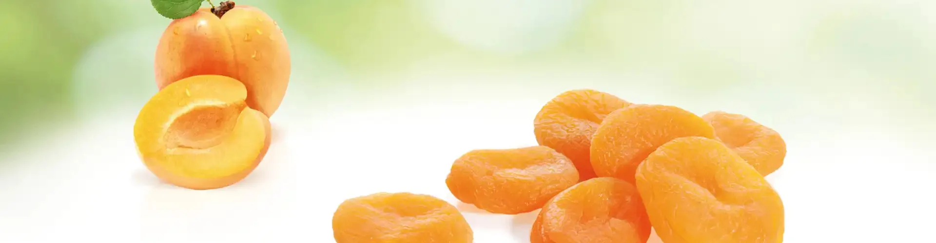 Marshimport - Apricots header image media asset