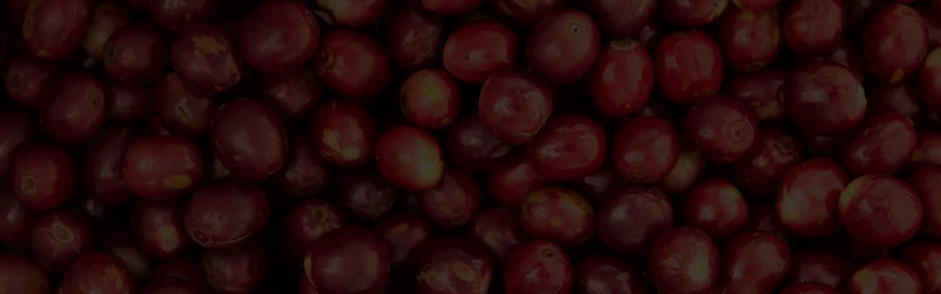 PLP - coffee - innovation in coffee shop image me