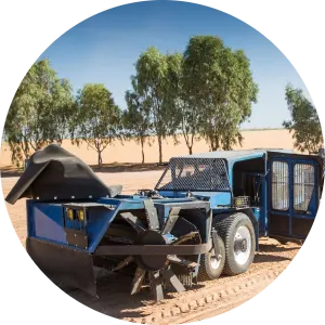 Almonds Processing 2