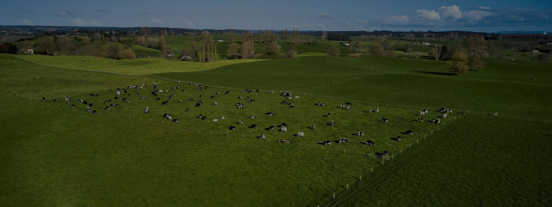 Get in touch banner about ofi