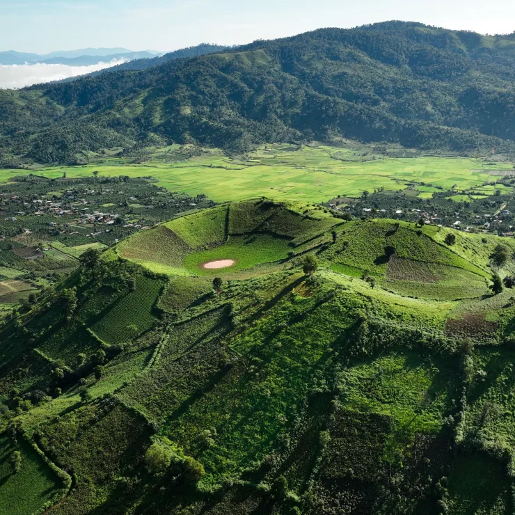 About ofi - Global footprint where to find us