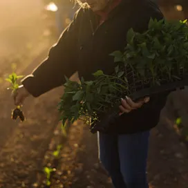 Farmers and sourcing circle