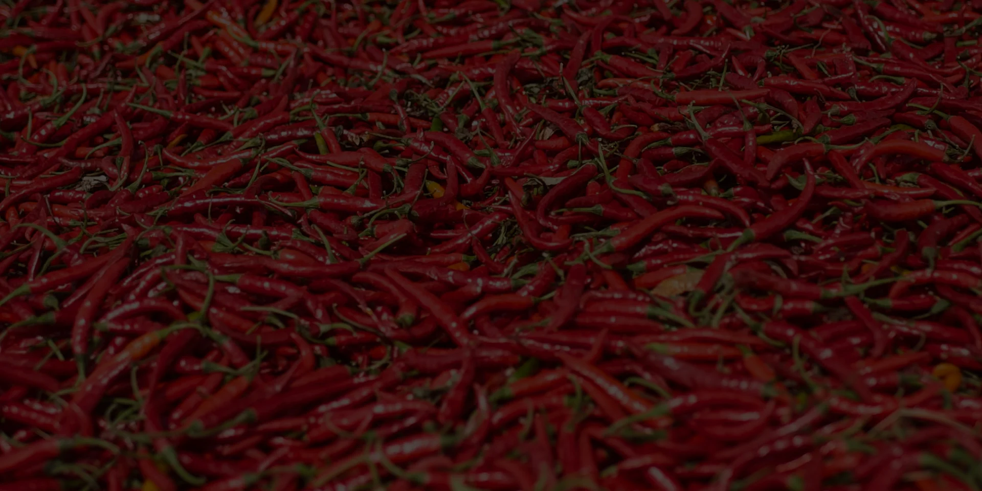 Spices stats background