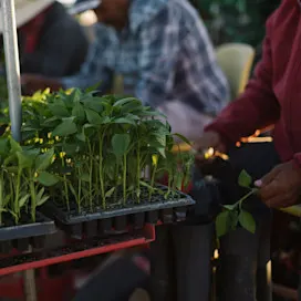 Traceability and provenance circle