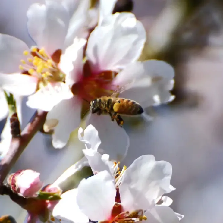 Marshimport - Company Philosophy image asset