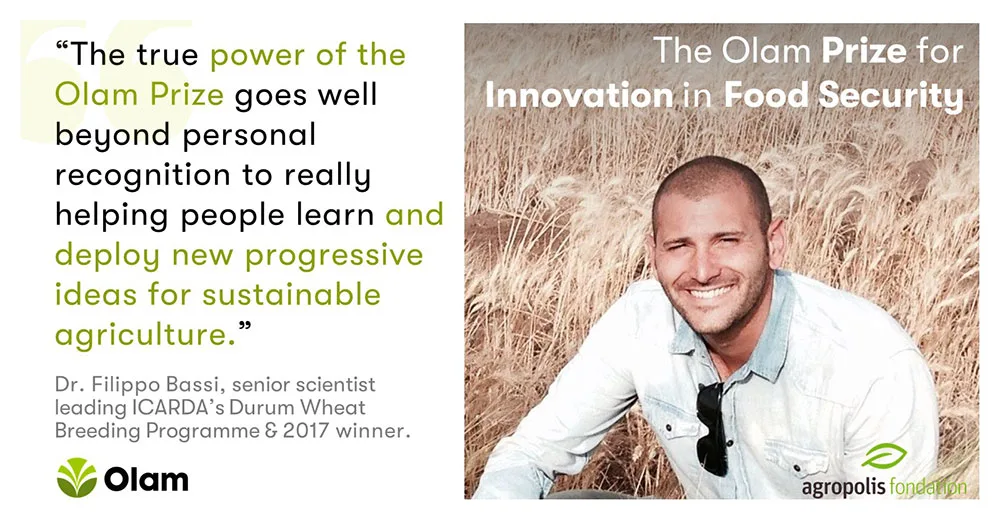 Quote from Dr. Filippo Bassi, senior scientist leading ICARDA's Durum Wheat Breeding Programme and 2017 winner