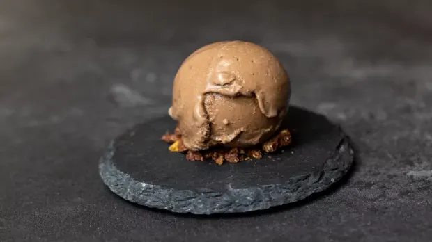 A scoop of plant based ice cream served on a stone plate