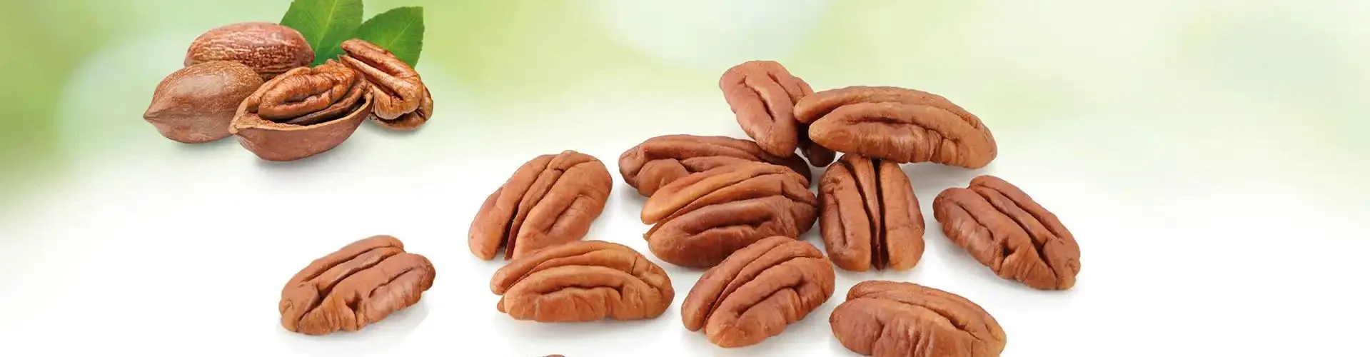 Pecans header banner