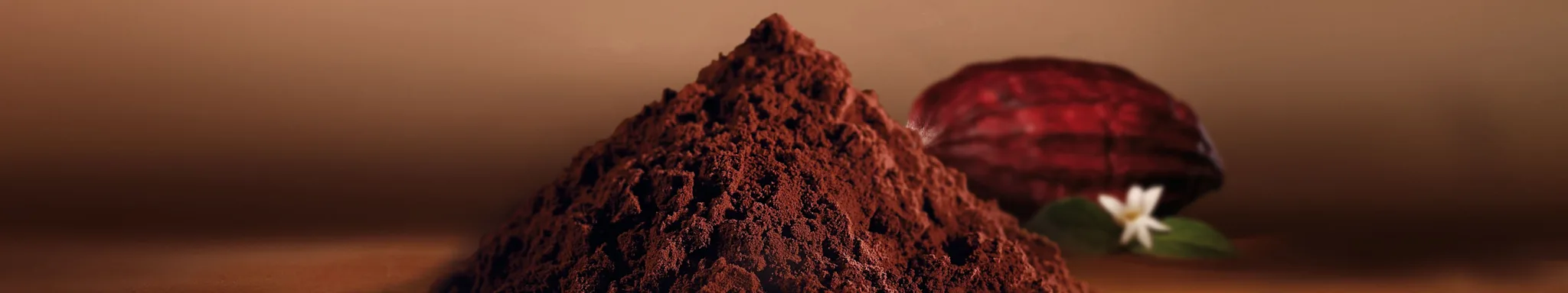 Cocoa powder banner replace of shop