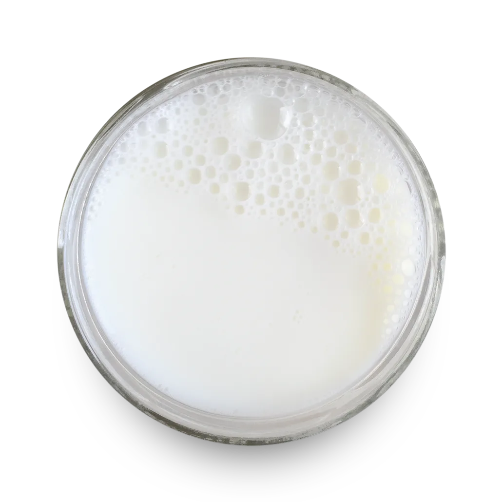 Dairy
